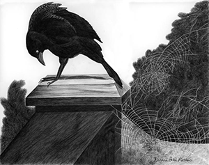One of Kristina Hutch Matthews’ pen and ink drawings